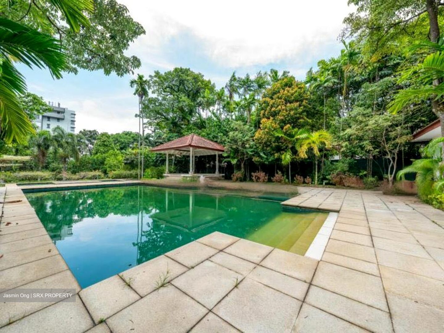 Nassim Road (D10), Detached #467993011